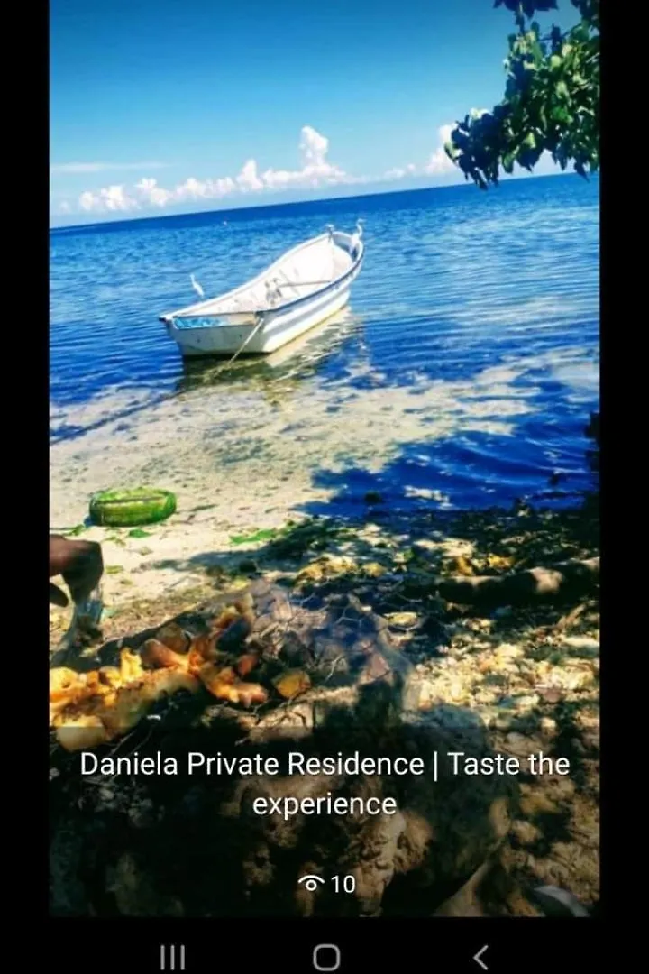 Private Lodge, Cousin'S Cove Green Island 0*,